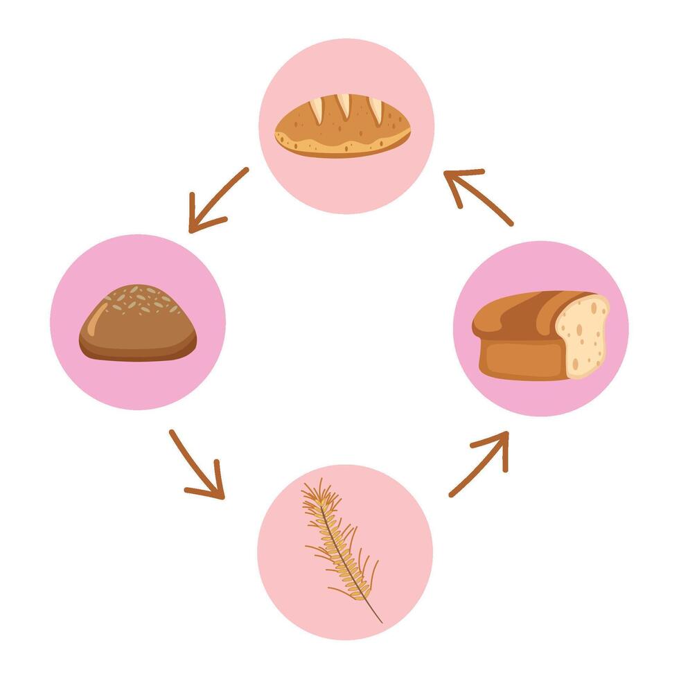 The cycle of bread and wheat vector