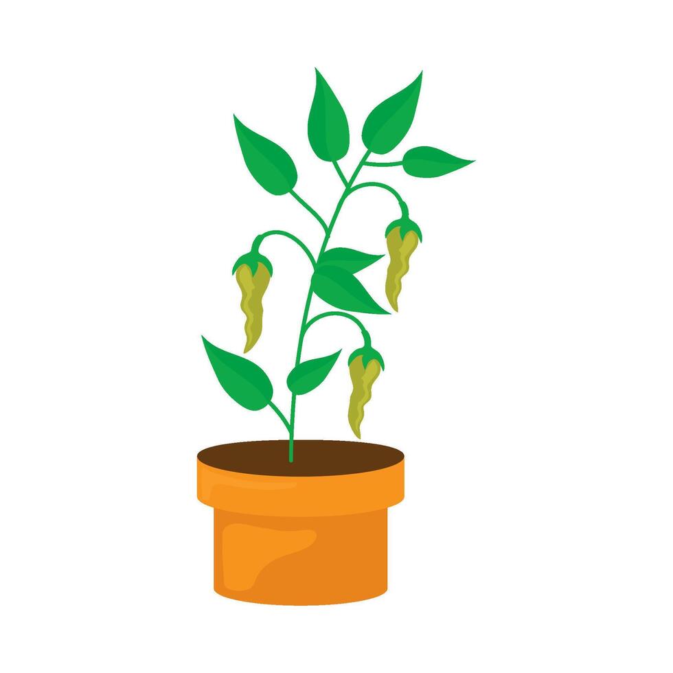 A plant with green leaves in a pot vector