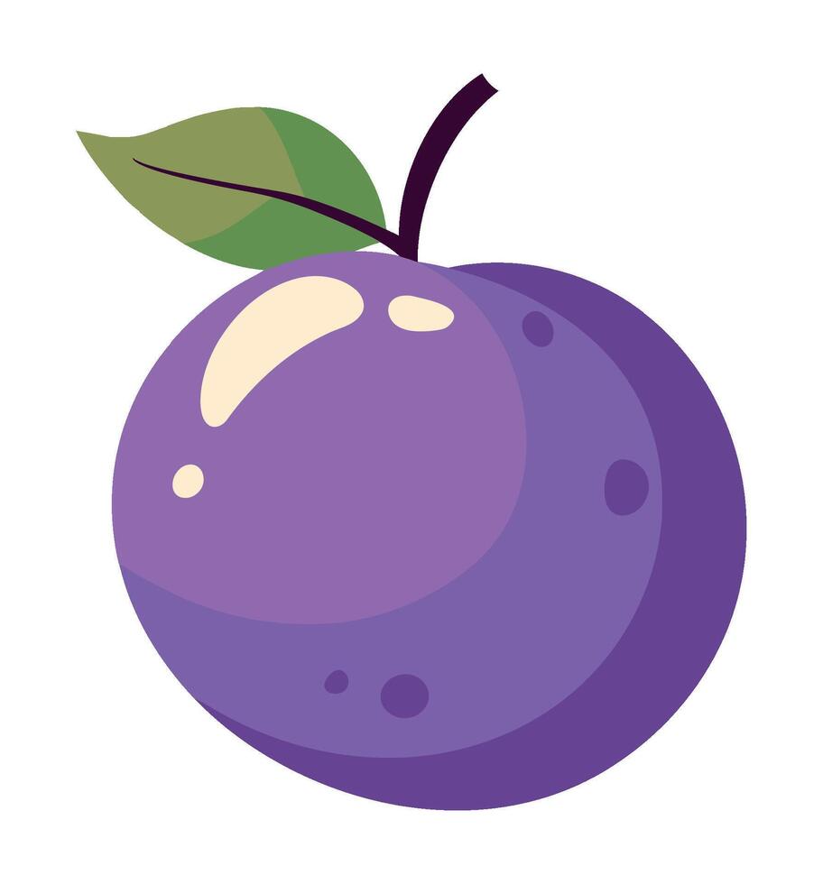 A purple plum fruit with a leaf on it vector