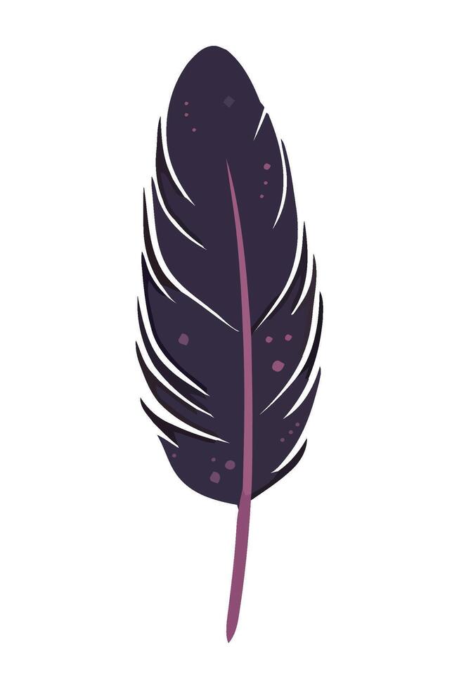 A purple feather on a white background vector