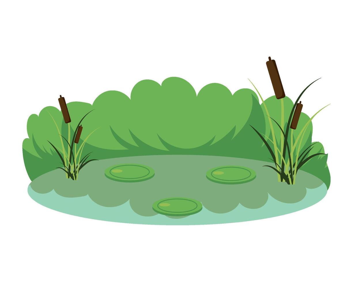 illustration of a pond with reeds and water lilies vector