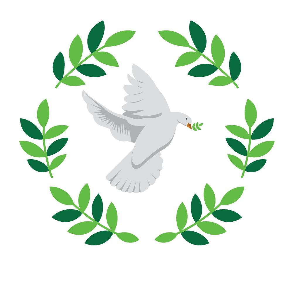 A white dove with olive branches in its beak vector