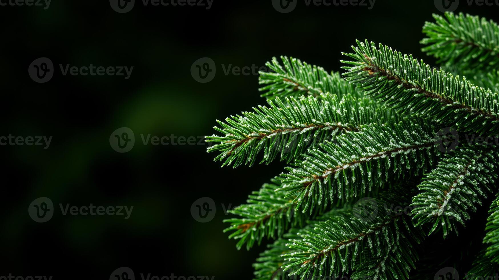 Dark forest green background with soft pine needle texture accented by a light dusting of snow Christmas cozy and nature inspired atmosphere elegant and wintry photo