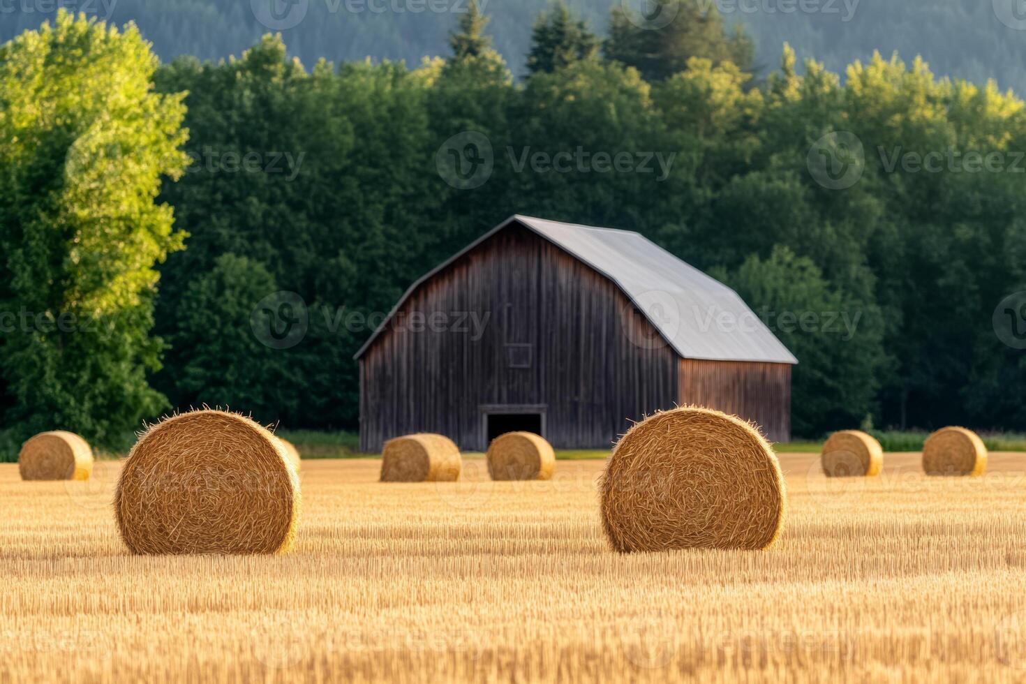 A rustic barn surrounded by golden hay bales, representing the quintessential harvest season in the countryside photo