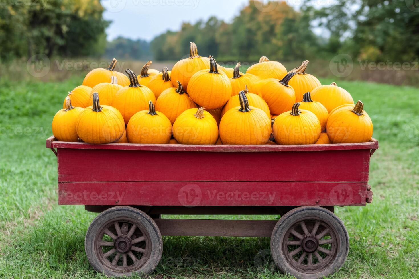 A vintage wagon filled with golden pumpkins, highlighting the rustic abundance of harvest season photo