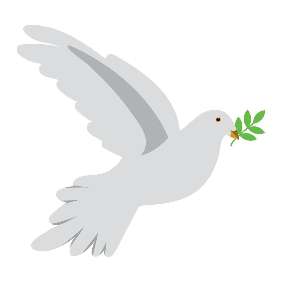 A white dove with an olive branch in its beak vector