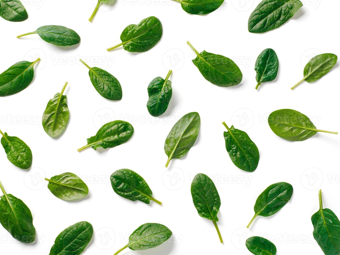 Pattern from baby spinach isolated photo