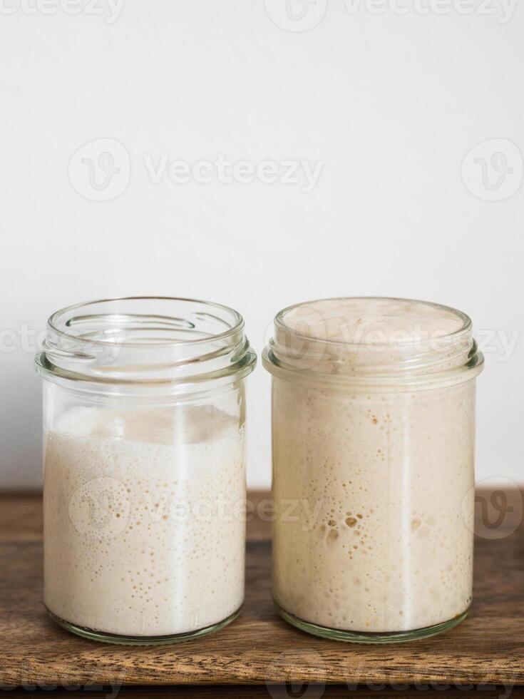 Wheat sourdough starter different hydration levels photo