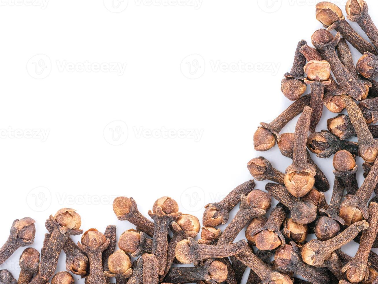 Cloves spice on white background with copy space. Isolated one edge. Top view or flat lay. photo