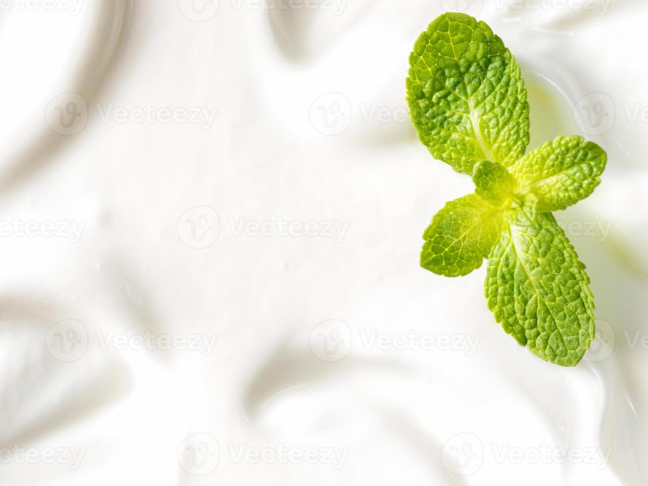 greek yogurt or sour cream texture photo
