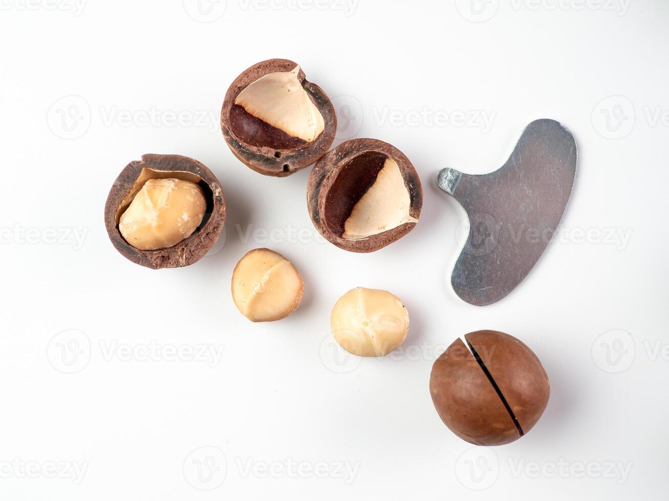 Set macadamia nuts isolated photo