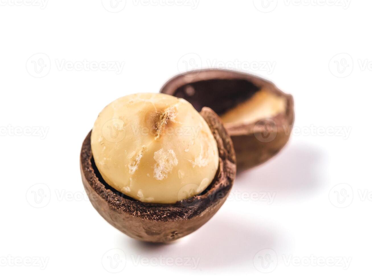 macadamia nut isolated on white photo