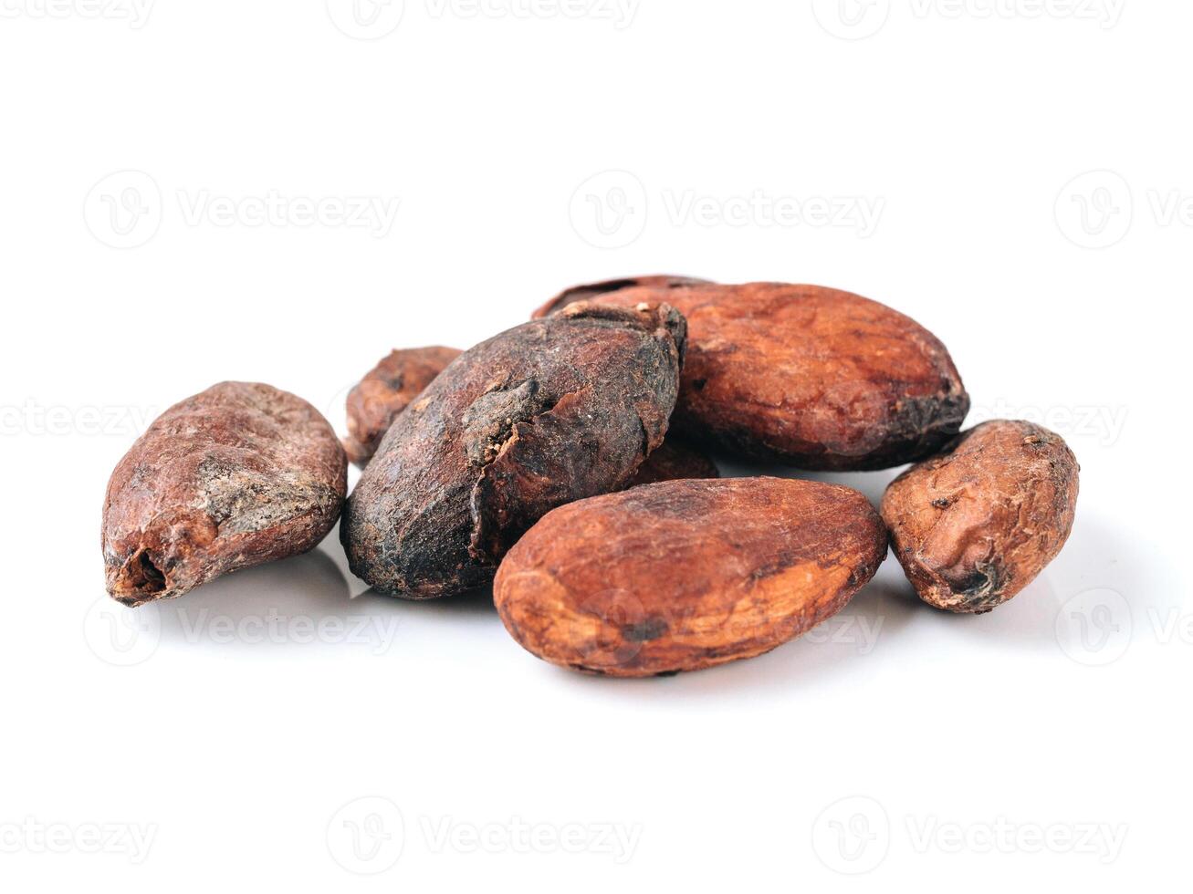 Raw cacao beans isolated white photo