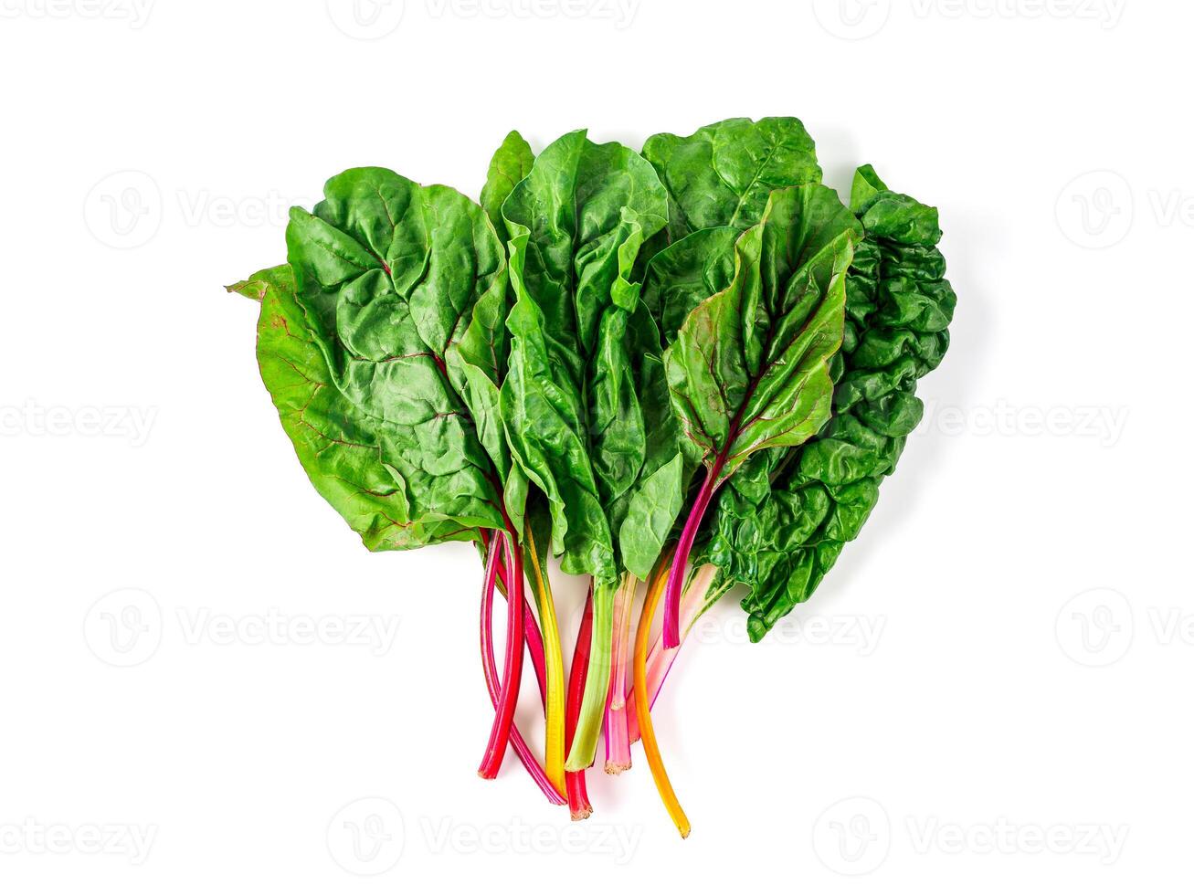 swiss rainbow chard isolated on white photo