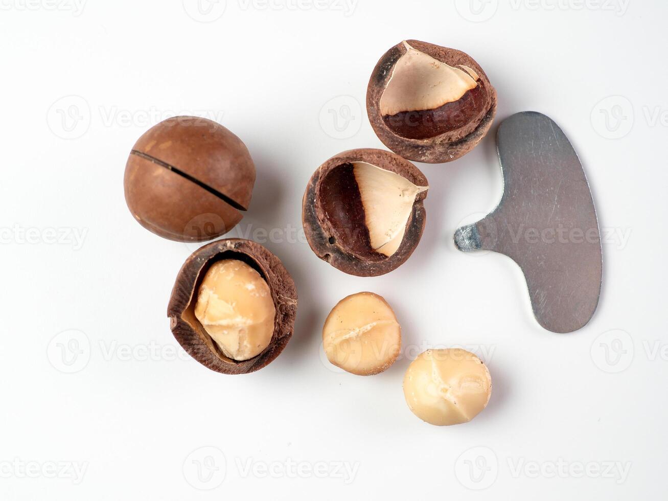 Set macadamia nuts isolated photo