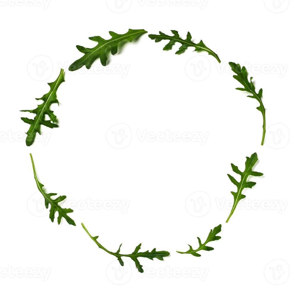 Pattern from arugula in round frame isolated photo