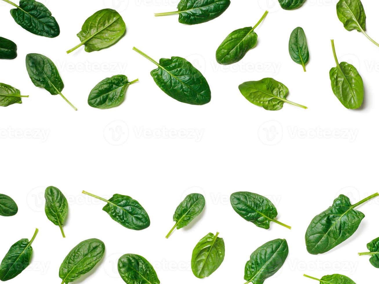 Pattern from baby spinach isolated photo