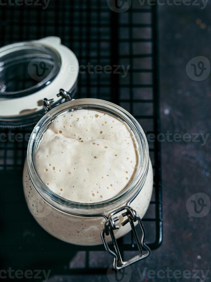 Wheat sourdough starter, copy space photo