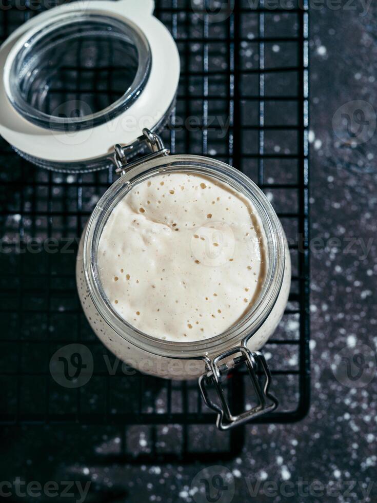 Wheat sourdough starter, copy space photo