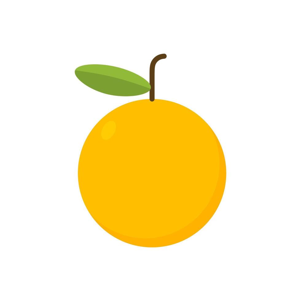 Ripe orange Fruit isolated on white vector