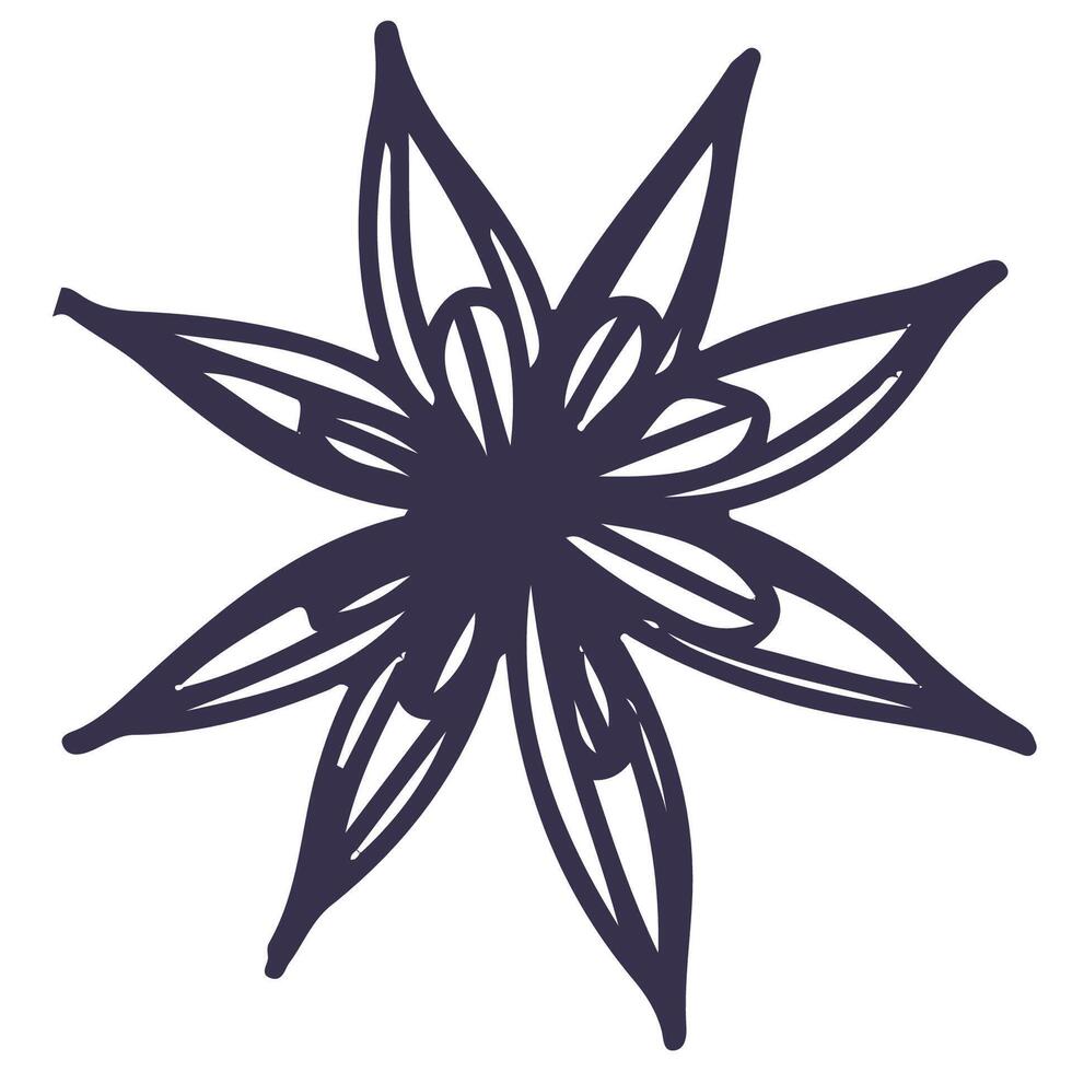 Line illustration of star anise. Hand drawn icon isolated on white background vector