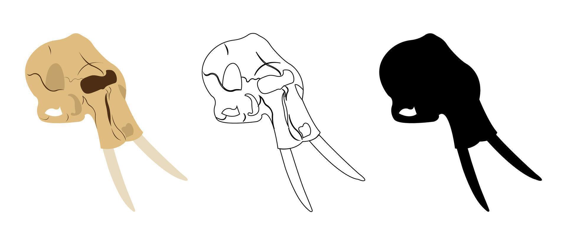 elephant skull set containing colored, silhouette and outlined skeleton of an elephants isolated on white background vector