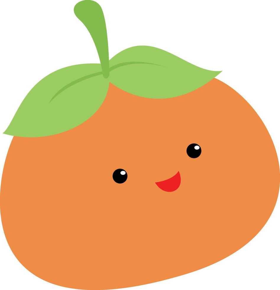 tangerine orange Illustration vector