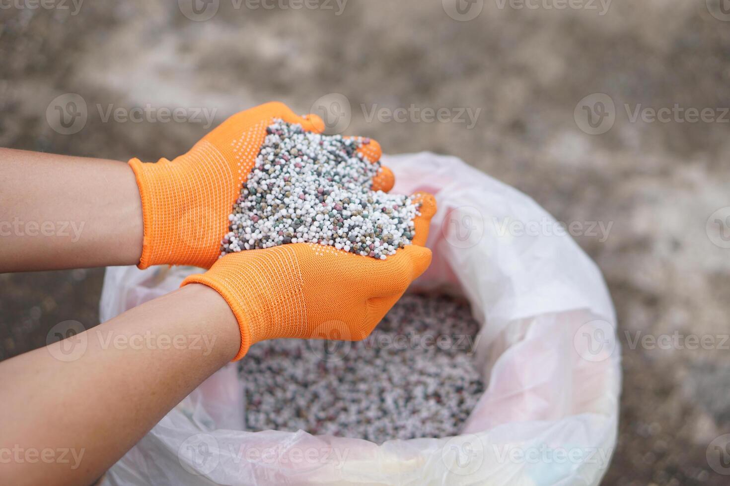 Close up hands hold mixed chemical fertilizer. Concept, chemical fertilizer production use in agriculture consists of basic nutrients which are Nitrogen AND, Phosphate P2O5 and Potassium K2O. photo