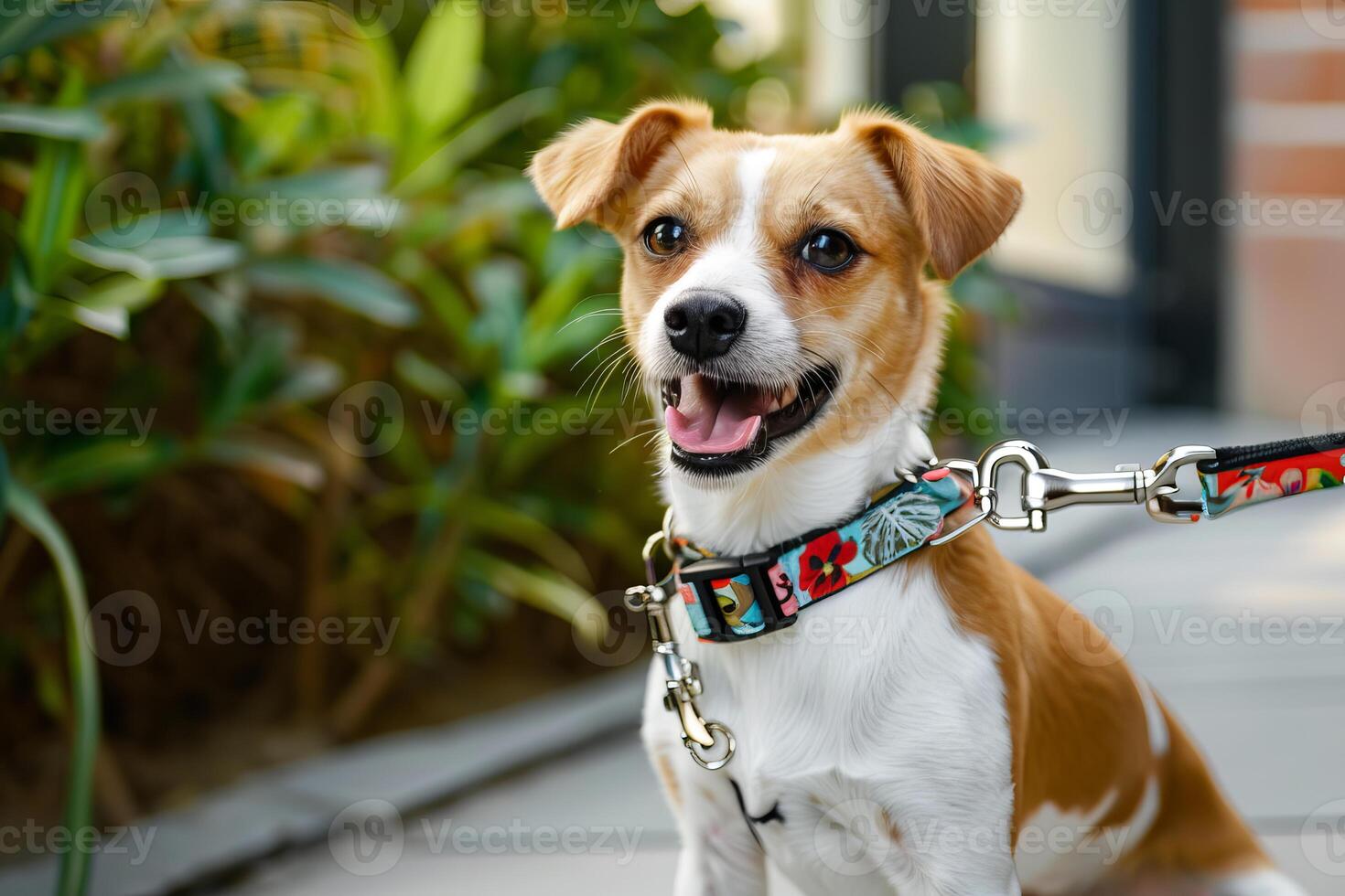 Small dog with floral collar and leash sitting and panting photo