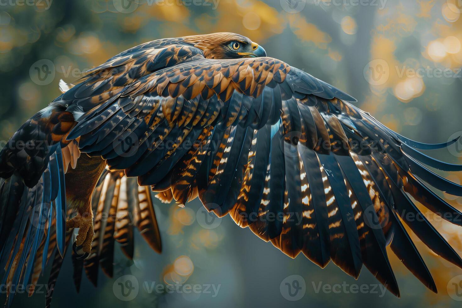 Majestic eagle is showing its beautiful feathers while flying photo