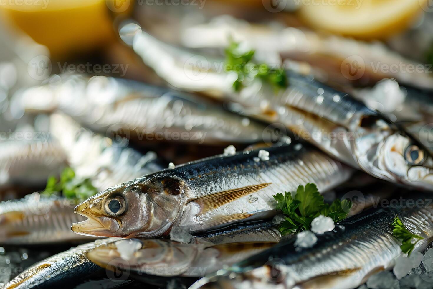 Fresh sardines lying on bed of ice with salt and parsley photo