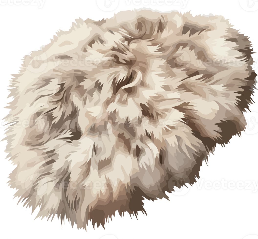 A fur hat is on a transparency background png