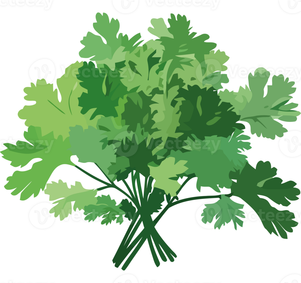Bunch of green leaves on a transparent background png