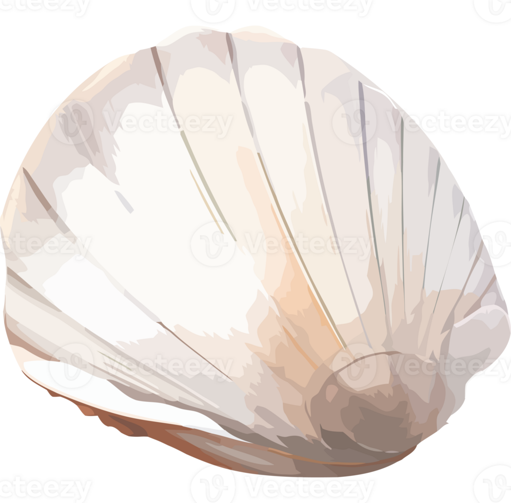 A shell icon on a transparency background png
