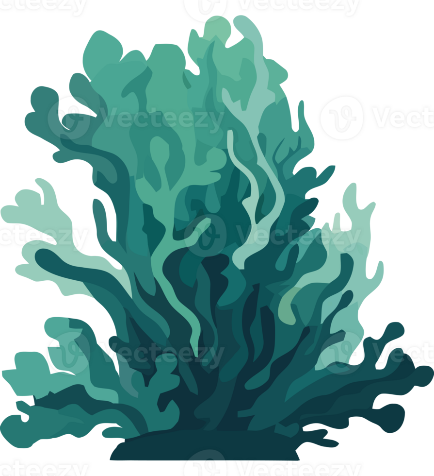 Green coral plants on a transparent background png