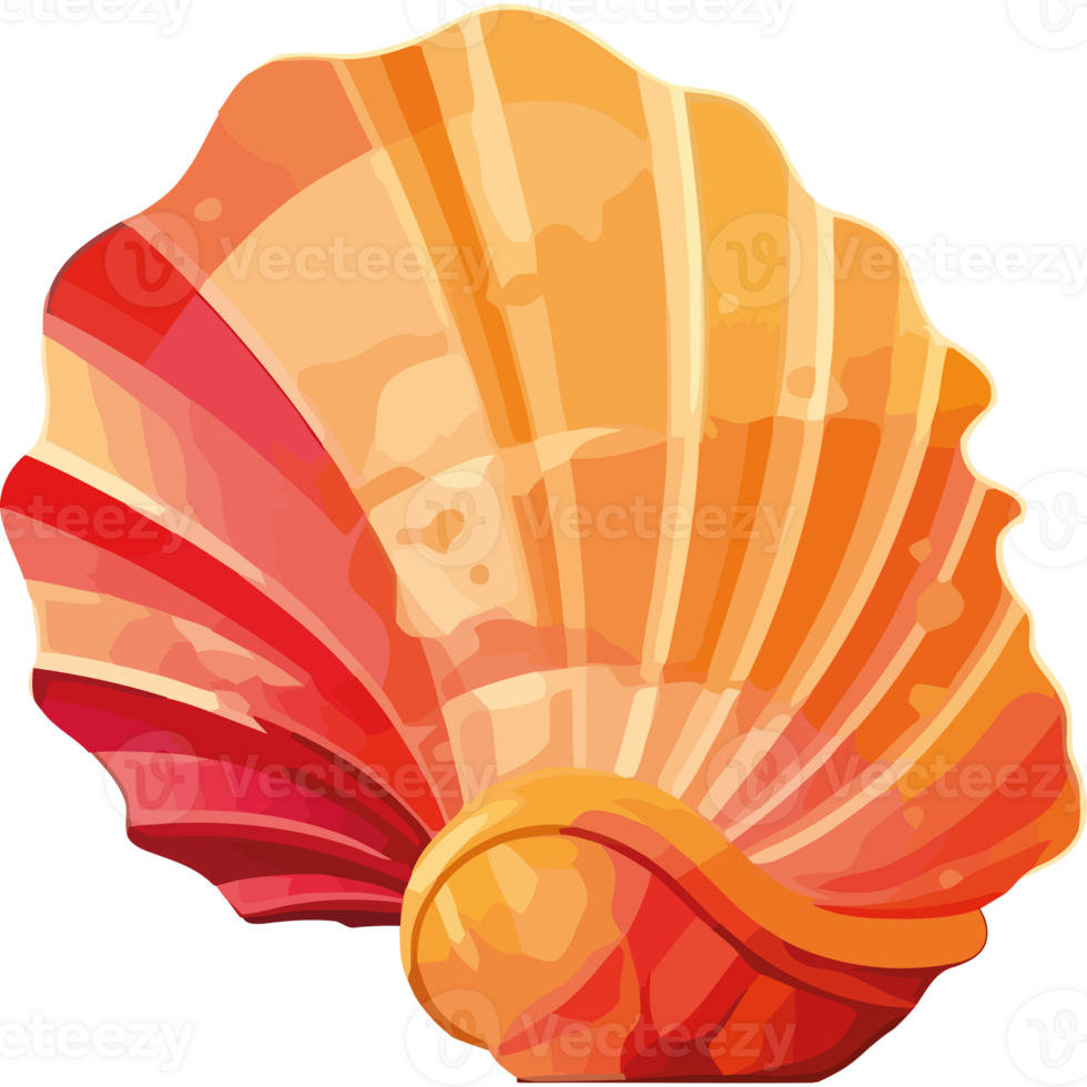 An orange shell on a transparency background png