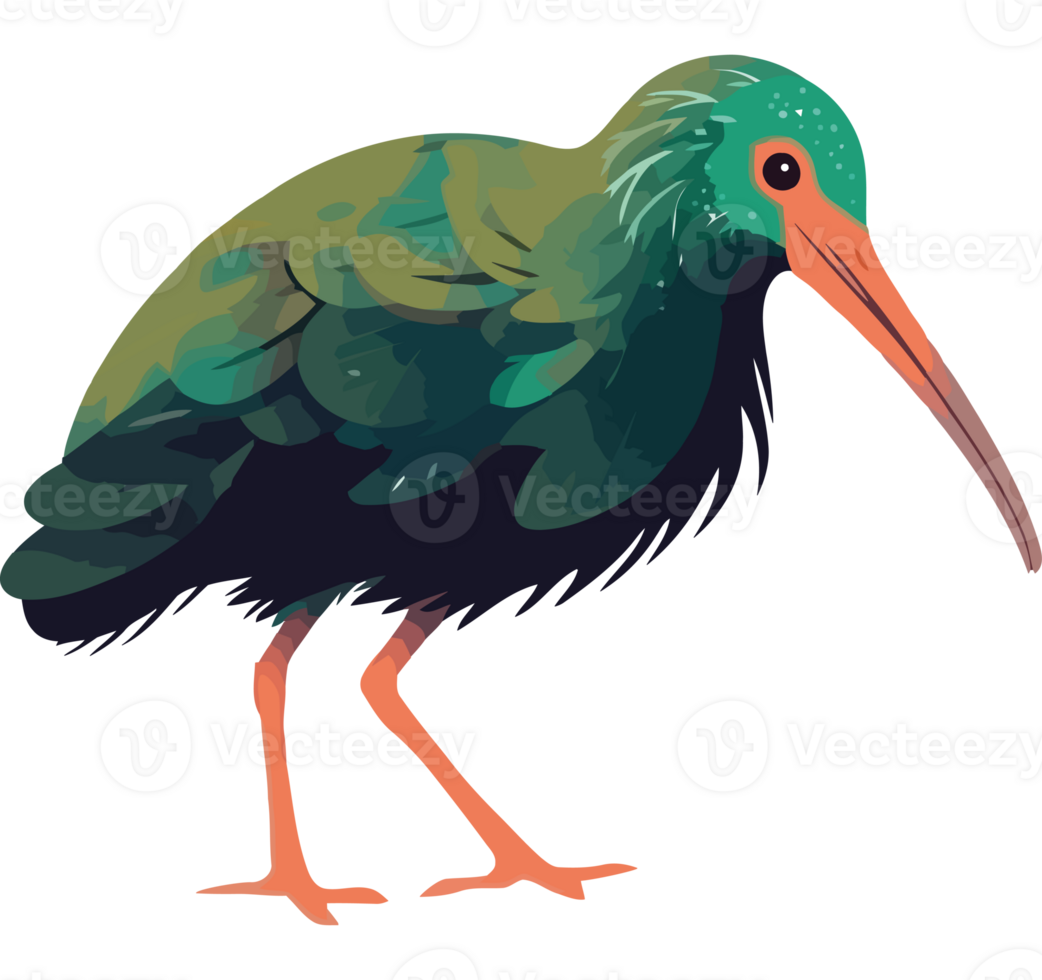 A green bird with a long beak png