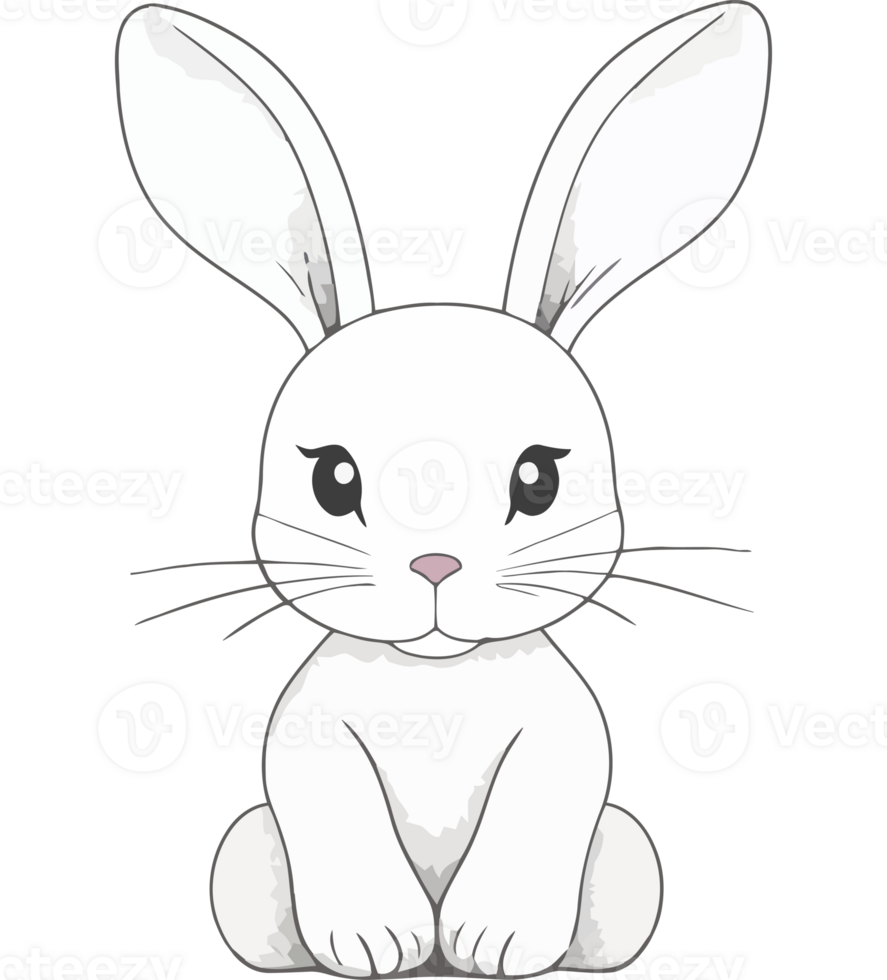A white rabbit on a transparency background png
