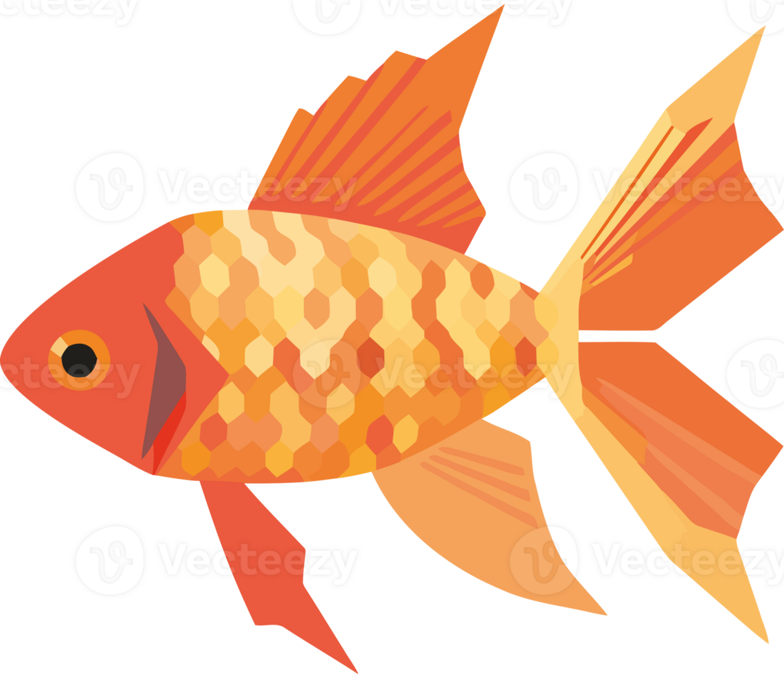 Goldfish clipart transparency png