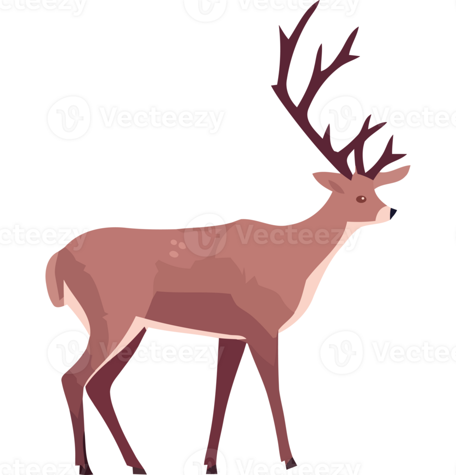 A deer with large antlers is standing on a transparency background png