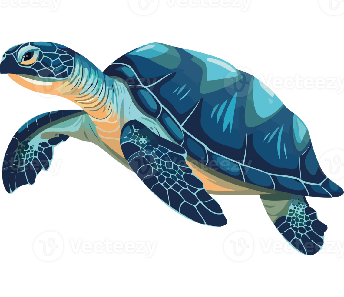 Sea turtle icon transparency png