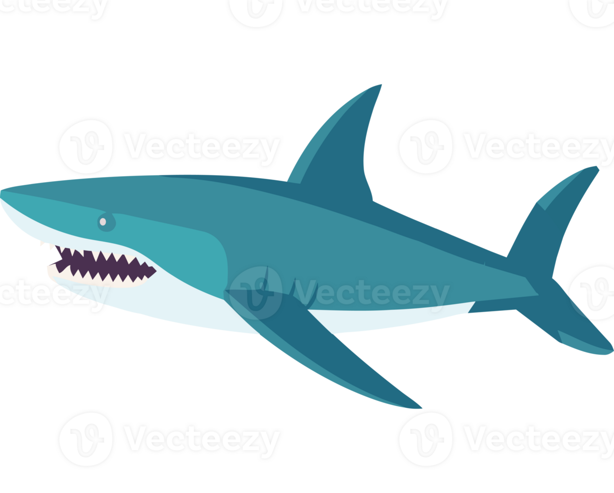 Shark clipart transparency png