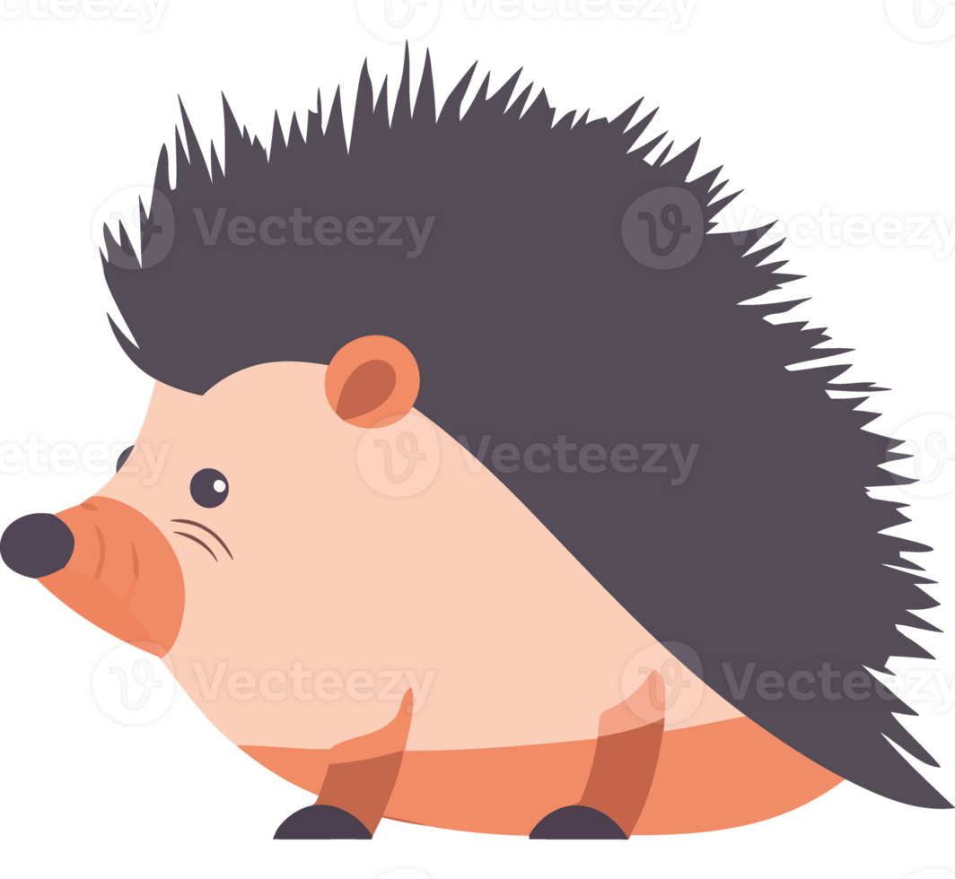 A hedgehog isolated transparent background png