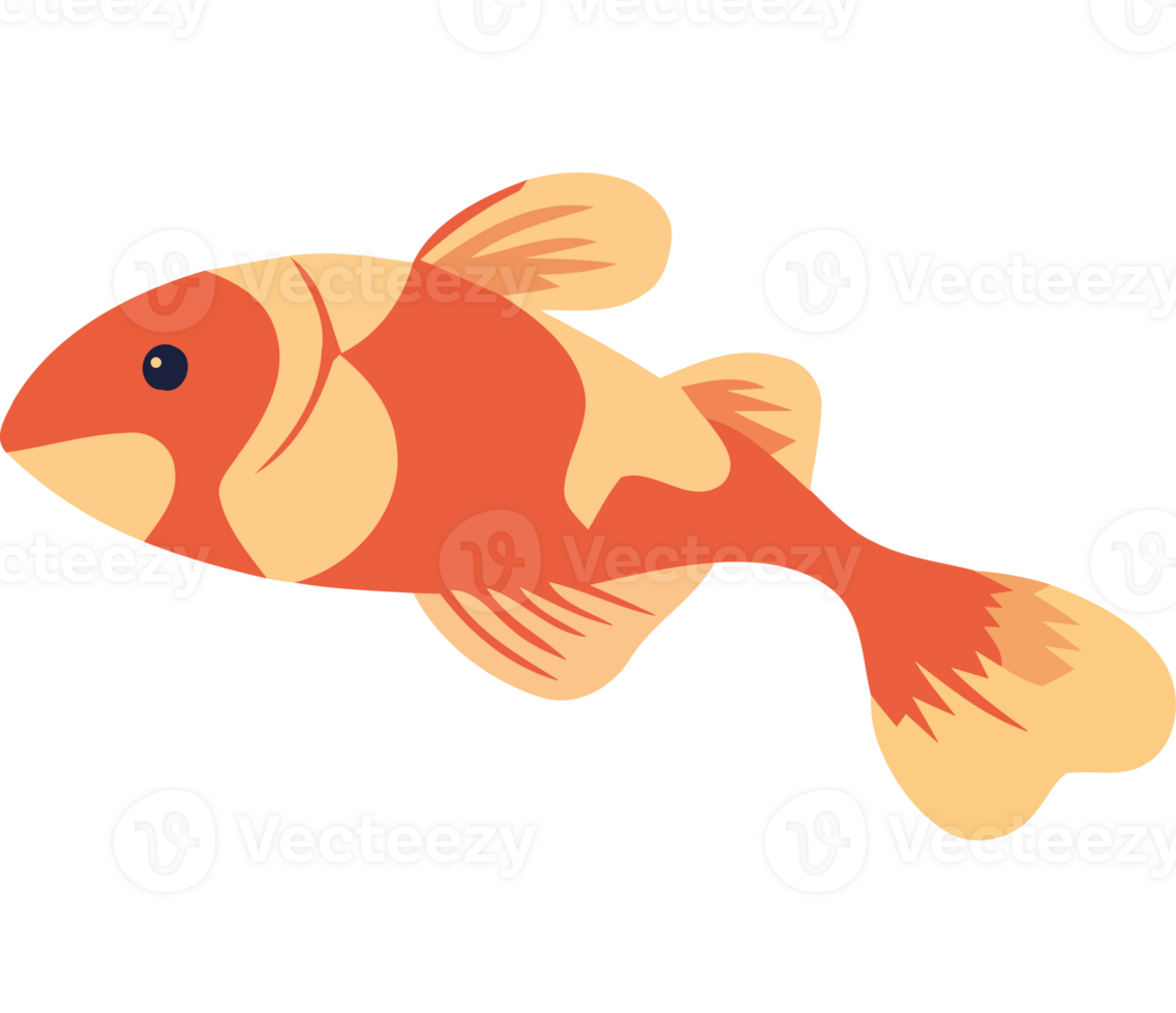 An orange fish with transparent background png