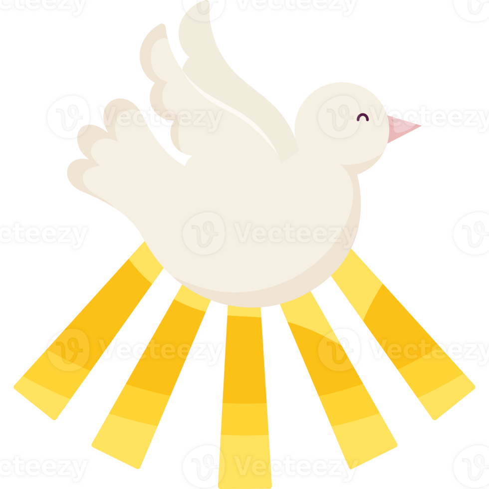 A white dove with rays of light around it png