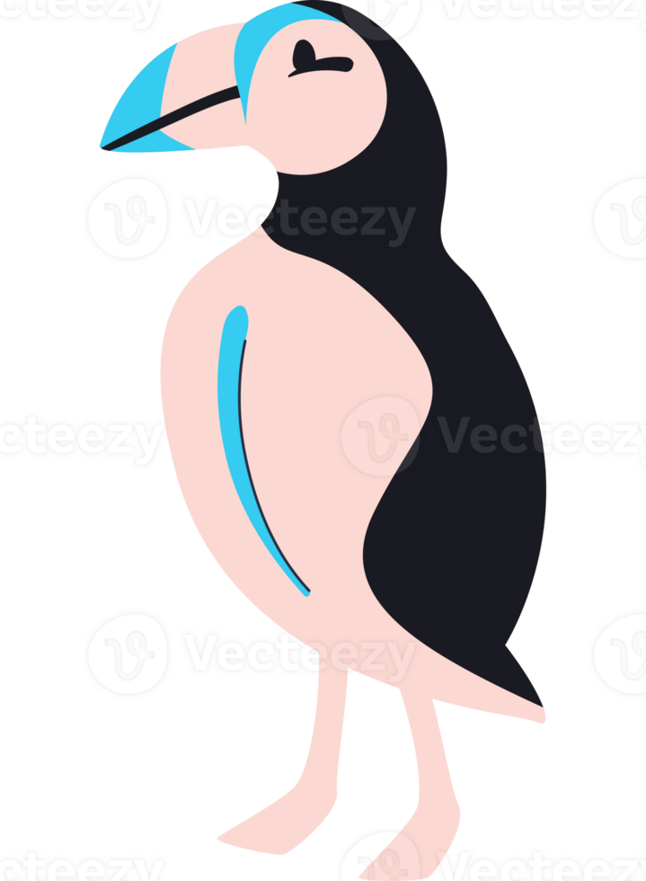 Puffin bird illustration png