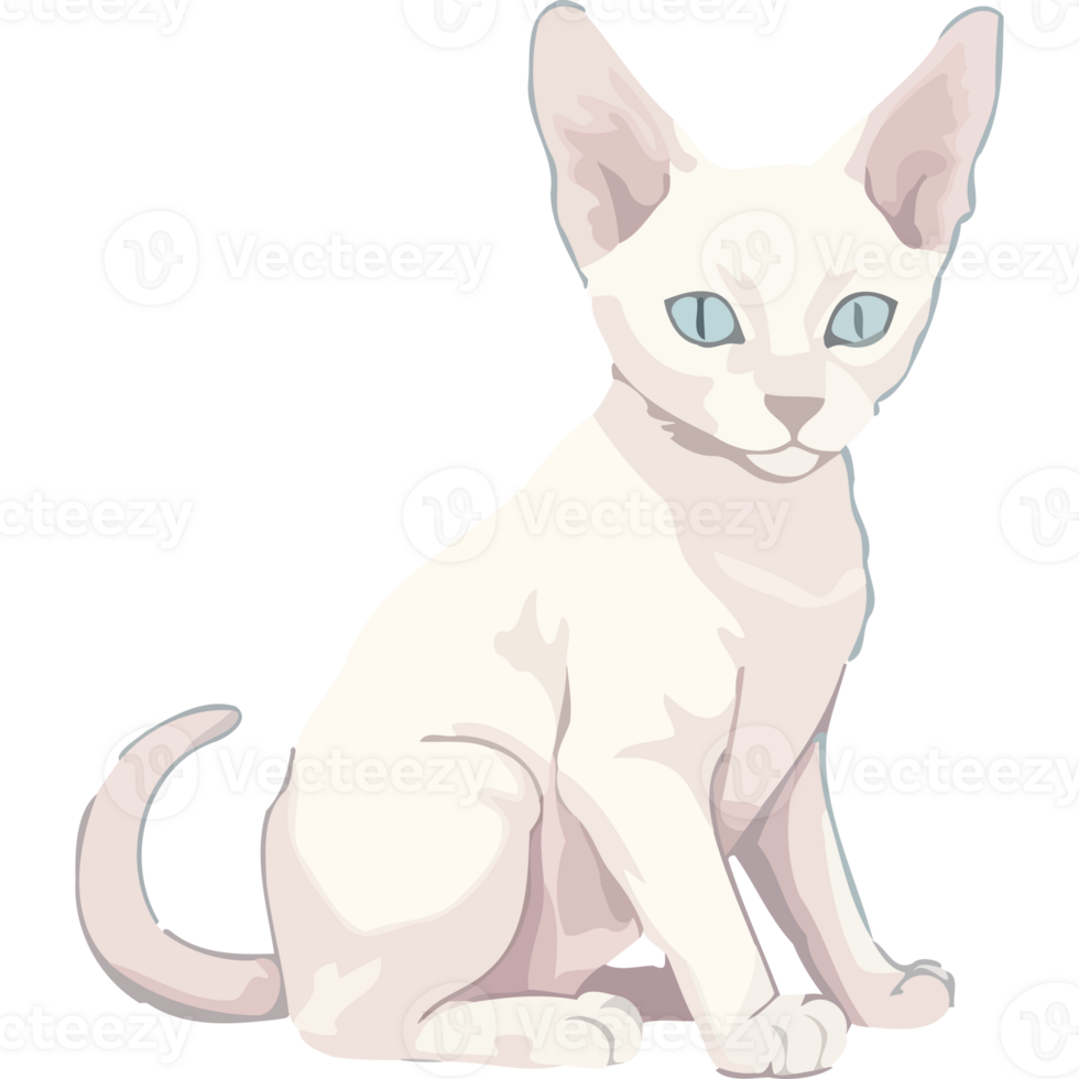 A white cat with blue eyes sitting down png