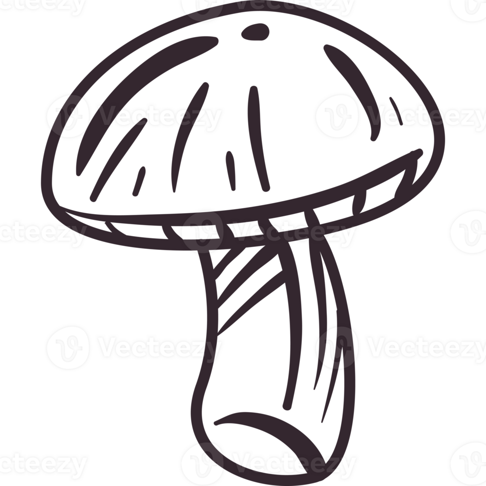 A black and white drawing of a mushroom png