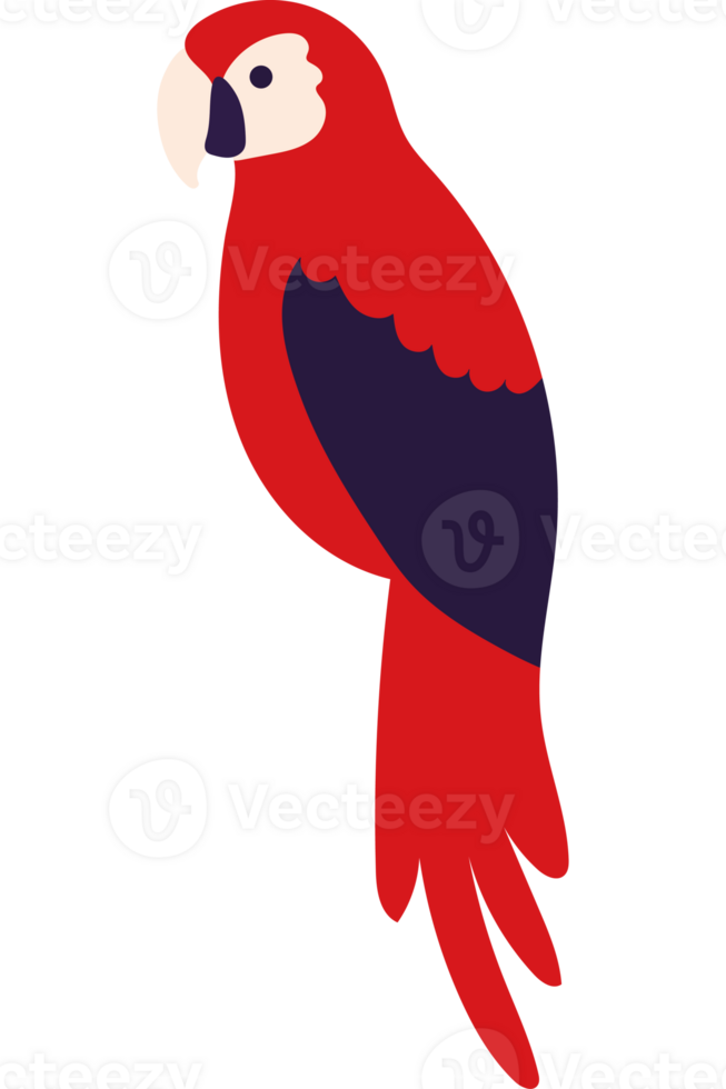 A red parrot with a purple beak png