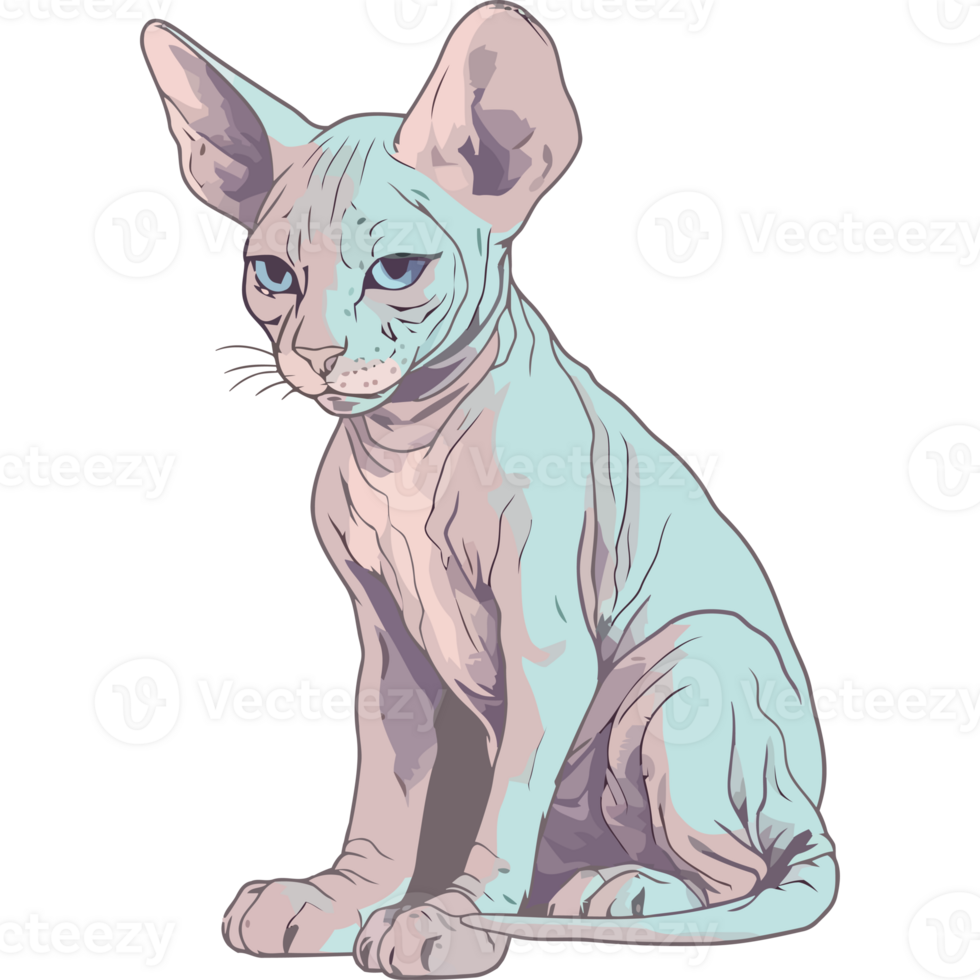 A sphytly cat with blue eyes and a white body png